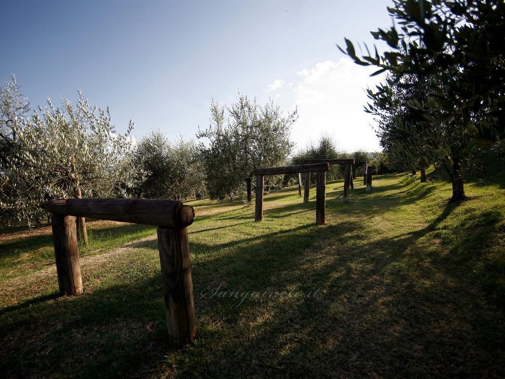 Agriturismo Sanguineto Acquaviva  Buitenkant foto