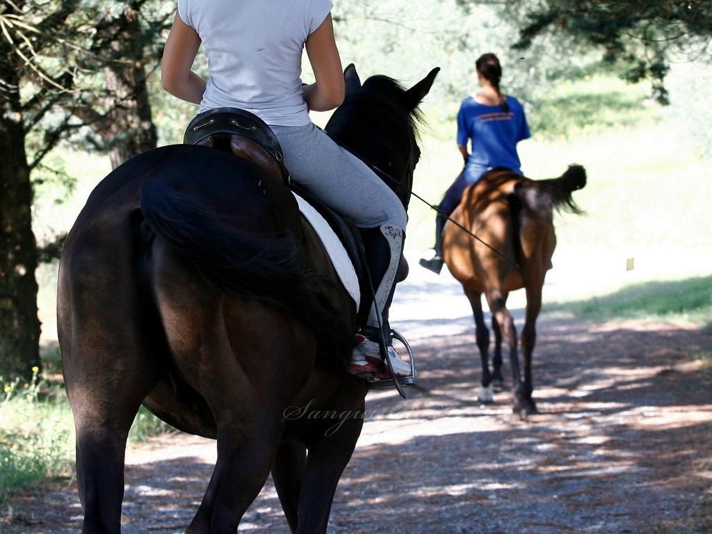 Agriturismo Sanguineto Acquaviva  Buitenkant foto