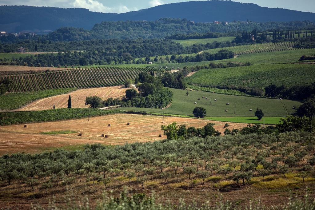 Agriturismo Sanguineto Acquaviva  Buitenkant foto